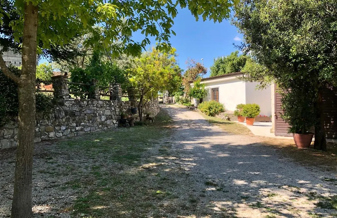 Il Casolare degli Alburni-1